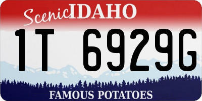 ID license plate 1T6929G