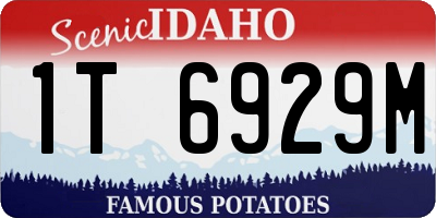 ID license plate 1T6929M