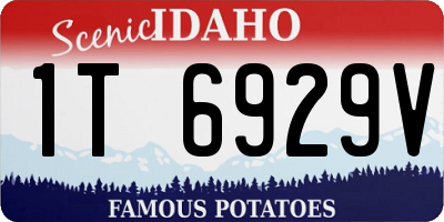 ID license plate 1T6929V
