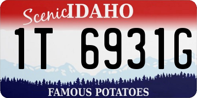ID license plate 1T6931G