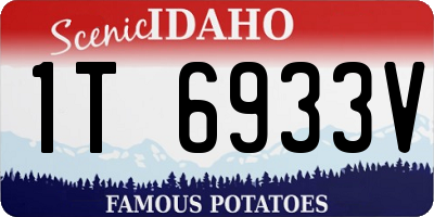 ID license plate 1T6933V