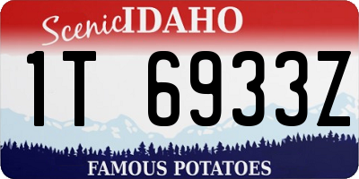 ID license plate 1T6933Z