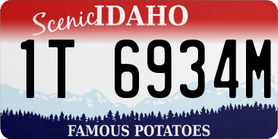 ID license plate 1T6934M