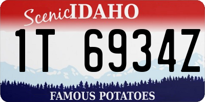 ID license plate 1T6934Z