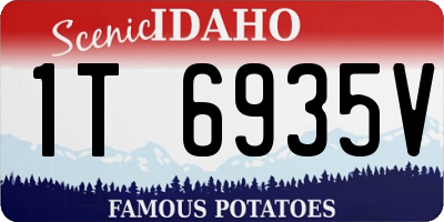 ID license plate 1T6935V