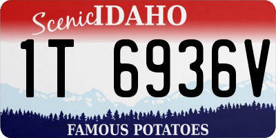 ID license plate 1T6936V