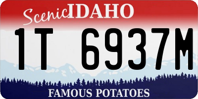 ID license plate 1T6937M