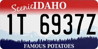 ID license plate 1T6937Z