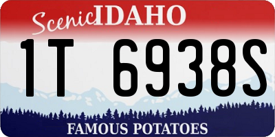 ID license plate 1T6938S