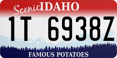 ID license plate 1T6938Z