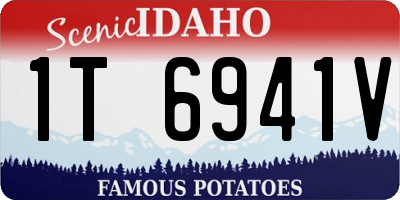 ID license plate 1T6941V