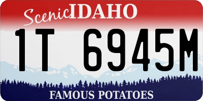ID license plate 1T6945M