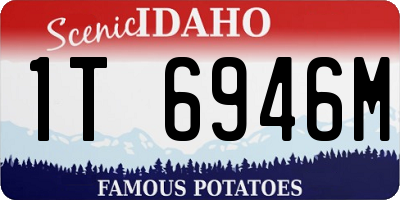 ID license plate 1T6946M