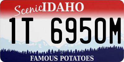ID license plate 1T6950M