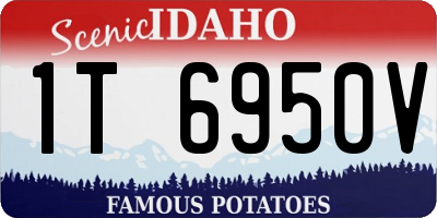 ID license plate 1T6950V