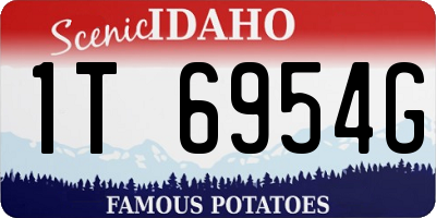 ID license plate 1T6954G