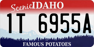 ID license plate 1T6955A