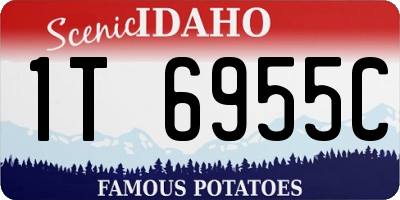 ID license plate 1T6955C
