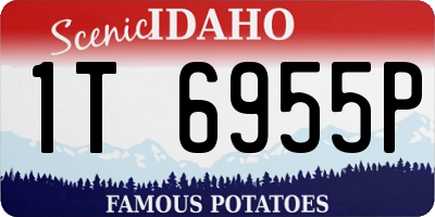 ID license plate 1T6955P