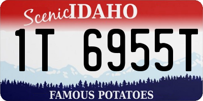 ID license plate 1T6955T