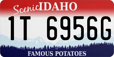 ID license plate 1T6956G