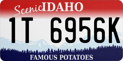 ID license plate 1T6956K