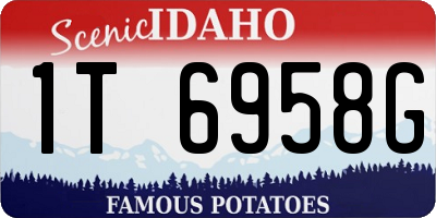 ID license plate 1T6958G