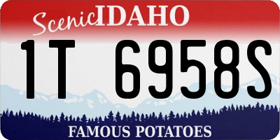 ID license plate 1T6958S