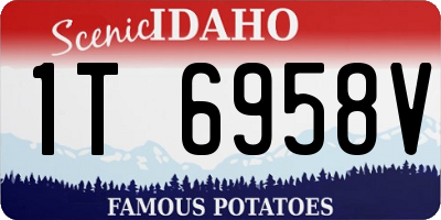 ID license plate 1T6958V