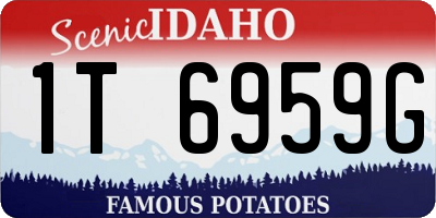 ID license plate 1T6959G