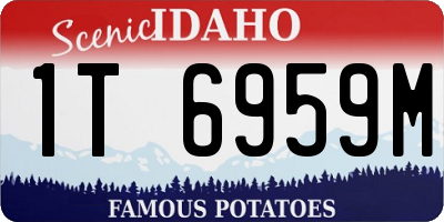 ID license plate 1T6959M