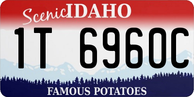 ID license plate 1T6960C