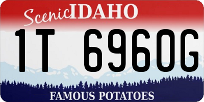ID license plate 1T6960G