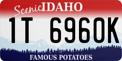 ID license plate 1T6960K