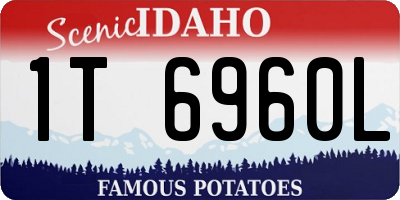 ID license plate 1T6960L
