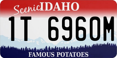 ID license plate 1T6960M