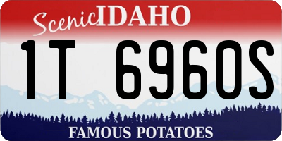 ID license plate 1T6960S