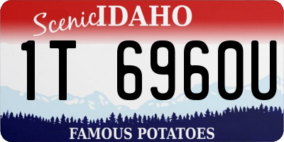 ID license plate 1T6960U