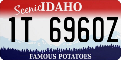 ID license plate 1T6960Z