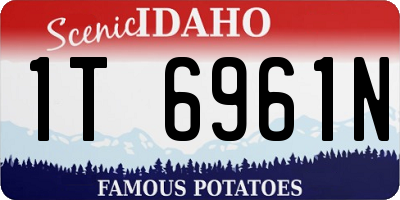 ID license plate 1T6961N
