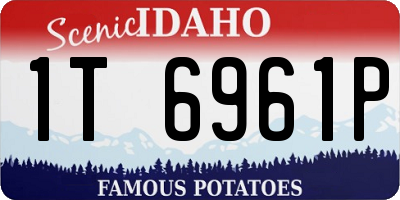 ID license plate 1T6961P