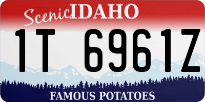 ID license plate 1T6961Z