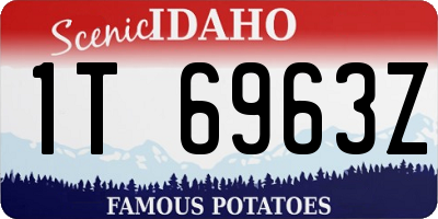 ID license plate 1T6963Z