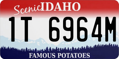 ID license plate 1T6964M