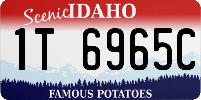 ID license plate 1T6965C