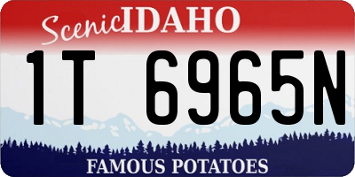 ID license plate 1T6965N