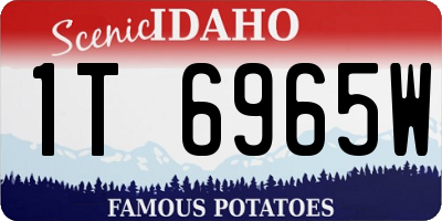 ID license plate 1T6965W