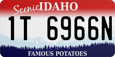 ID license plate 1T6966N