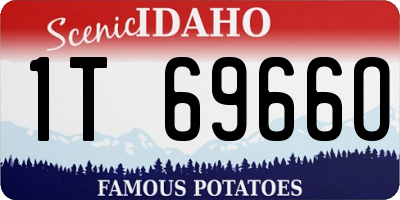 ID license plate 1T6966O