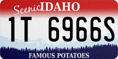ID license plate 1T6966S